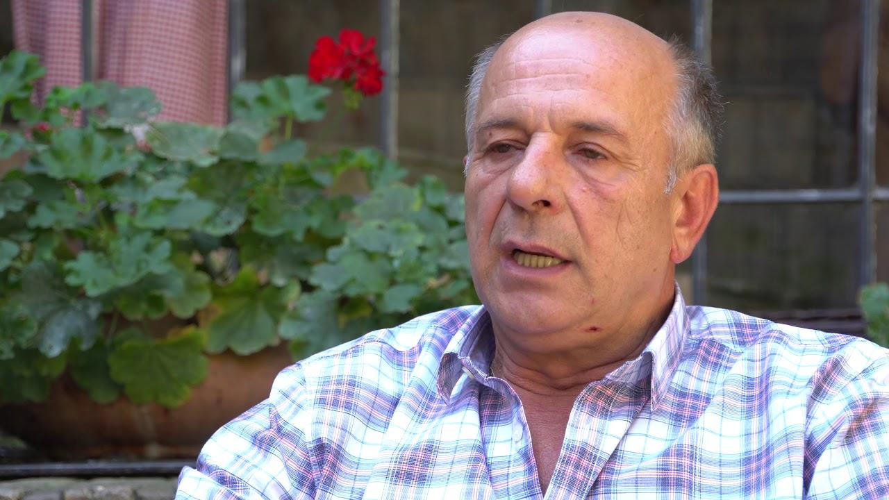 video slika